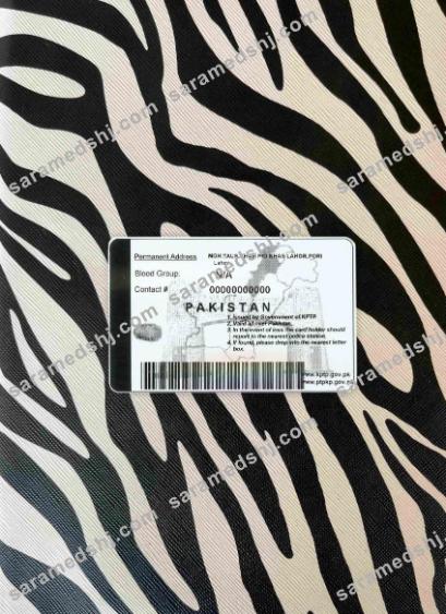 Pakistan DL  photolook BACK